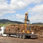Hêtre en grume – Camion complet 50 stères – Image 2