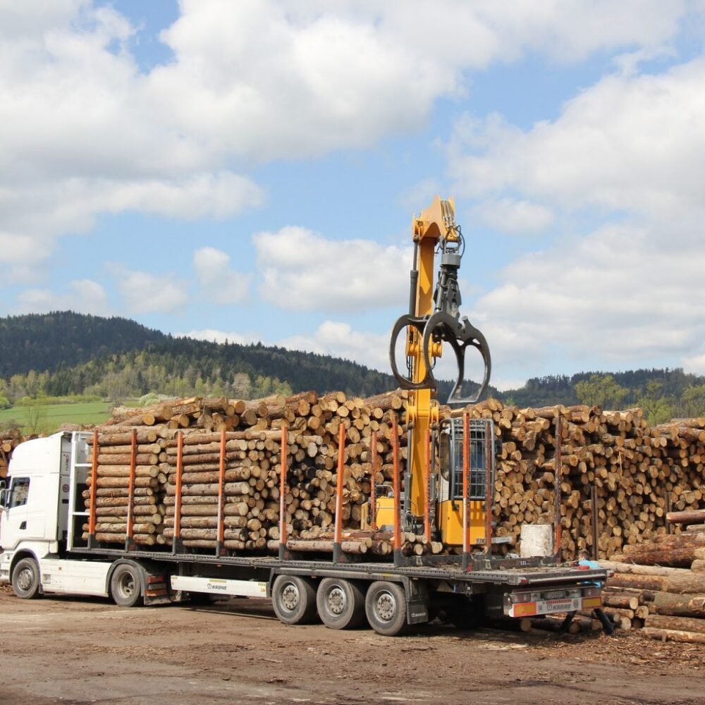 mnmm-1000x1000-1.jpg Hêtre en grume – Camion complet 50 stères – Image 1